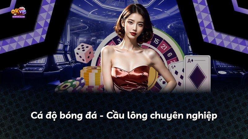 Cá độ bóng đá - Cầu lông chuyên nghiệp