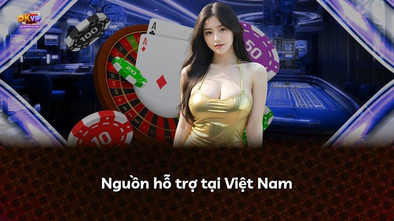 Nguồn hỗ trợ tại Việt Nam