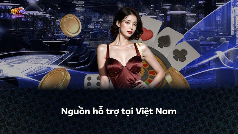 Nguồn hỗ trợ tại Việt Nam