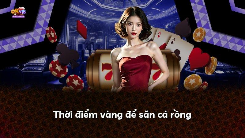 Thời điểm vàng để săn cá rồng