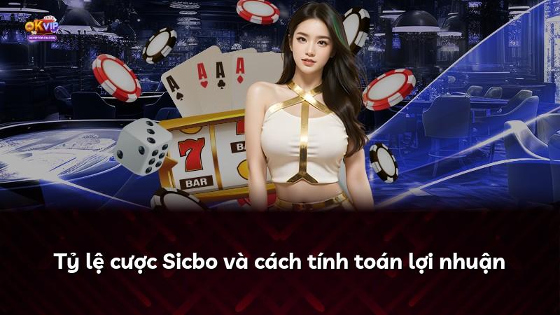 Tỷ lệ cược Sicbo và cách tính toán lợi nhuận